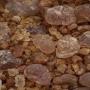 gomme arabique