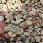 raw cashew nuts 