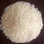 riz basmati et jasmin – grain long couleur 