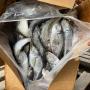 poissons et produits alimentaires surgelés