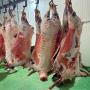 Carcasse de moutons 