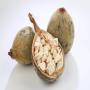 Vente de fruit de baobab du S&eacute;n&eacute;gal - Premium