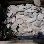 Kaolin ( argile blanche)