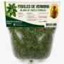 FEUILLES DE VERNONIA - ALOMA - NDOLE 