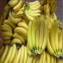 Fruit ,Legumes ,Epice ,Riz ,sucre ,Cacao, etc
