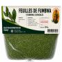 FEUILLES DE FUMBWA CONGELEES