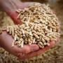 Wood Pellets For Sale
