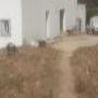 vente   une  ferme de 17Ha