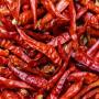 Le piment oiseau 
