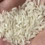 non basmati rice