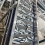 BQF pacific mackerel, BQF horse mackerel, fro
