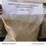 Semence de panicum maximum 