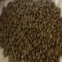 CAFFEE ROBUSTA &ARABICA