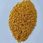 Semence de piment Teja vari&eacute;t&eacute; S15 et S17