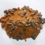 Tourteaux de Neem Moulues( margousier)