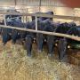   WAGYU PUR SANG ELEVEUR EN FRANCE GENISSE 