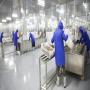 Vente usine de poisson a Dakar Port maritime 