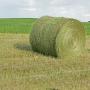 Foin 