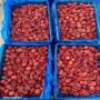 fraise, surgel&eacute;s, avocat, framboise, myrthile