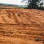 Terrain sableuse sidi yamani a vendre