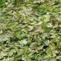 Produits naturels africains 