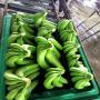 Bananes fra&icirc;ches et s&eacute;ch&eacute;es - Origine B&eacute;nin 