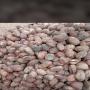 Produits agricoles tropicaux du B&eacute;nin 