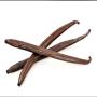 Vanille bourbon( vanilla planifolia)