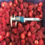 Besoin d'un fournisseur fiable de Fraise IQF