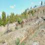 Vente de terrain agricole 