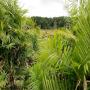 IMMOBILIER