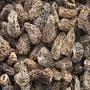 Morilles s&eacute;ch&eacute;s, champignons s&eacute;ch&eacute;s.