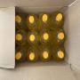 Wholesale sunflower oil 1l, 5l, 10l
