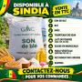 A VENDRE SON DE BLE, MAIS, BLE, TOURTEAUX