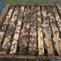 Apiculture