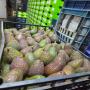 Avocat/ fruits rouge