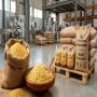 Sourcing Maroc   F&eacute;culents Premium