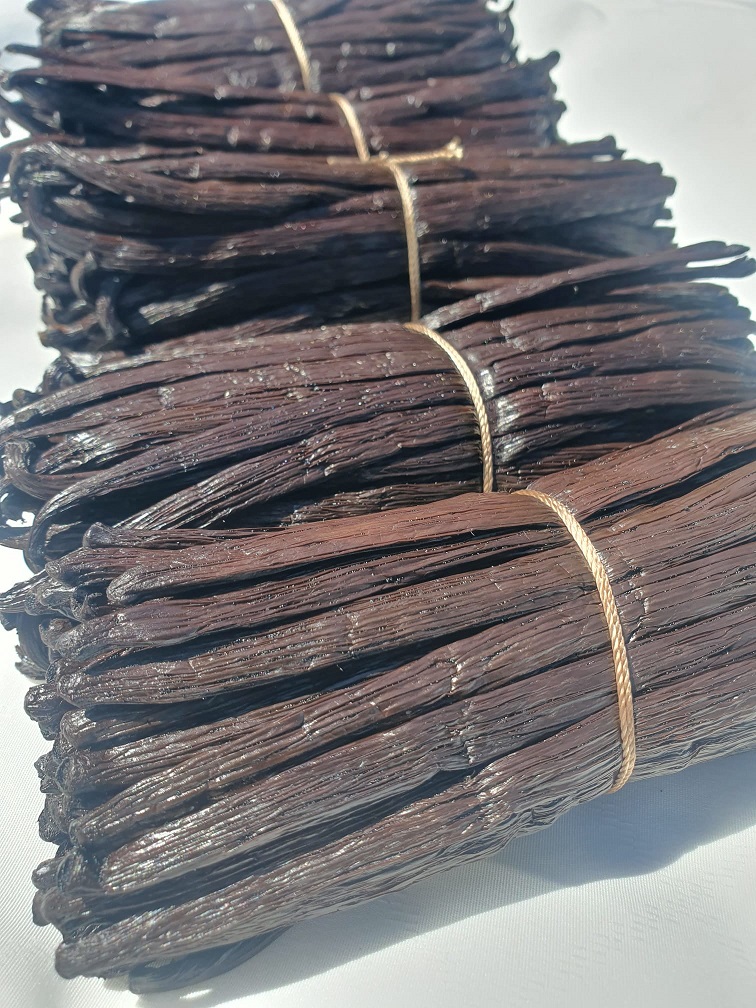 Vanilla Planifolia