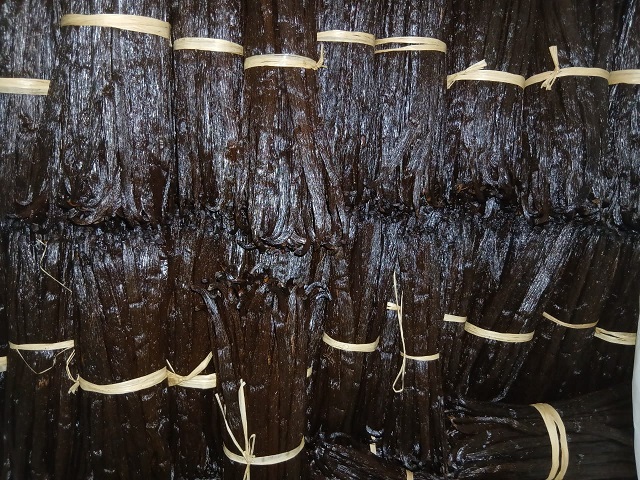Vanilla Planifolia